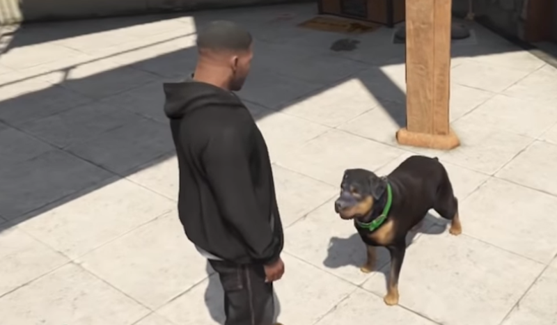 Can You Pet the Dog GTA