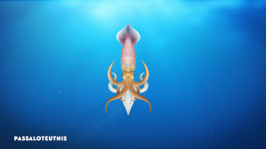 How the Squid Lost Its Shell