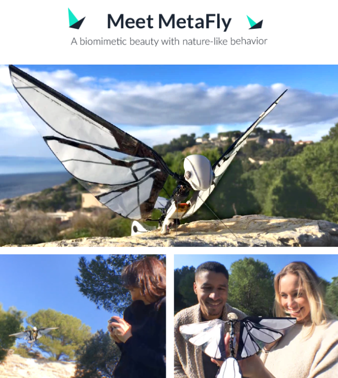 Metafly Collage