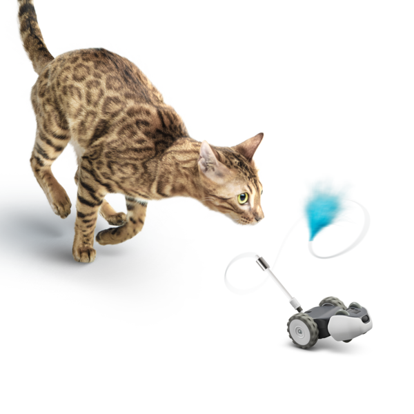 petronics mousr interactive robotic cat toy