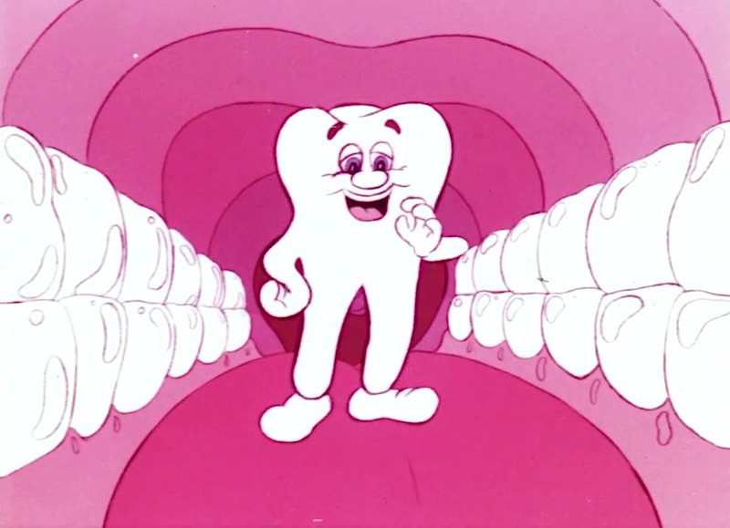 Murphy-the-Molar.jpg