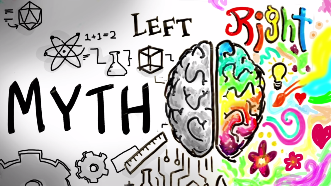 Myth of Left Brain Right Brain