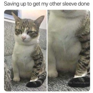 Cat Tattoo Sleeve