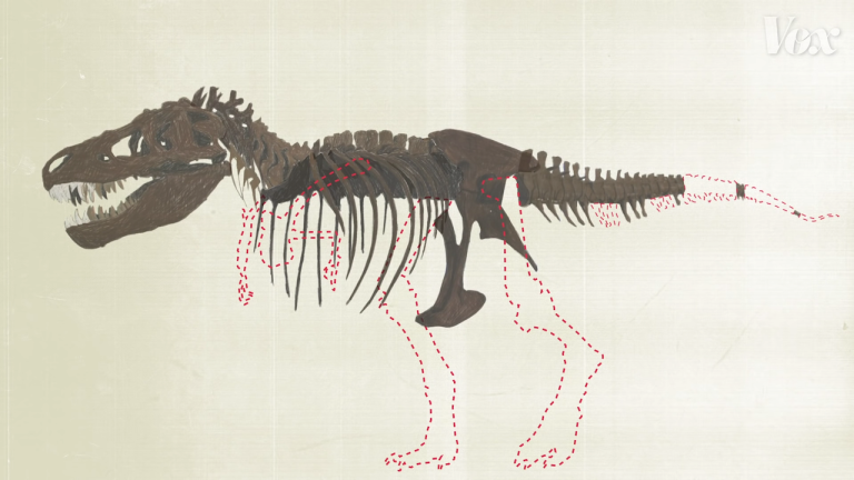 How Paleontologists Are Able to Accurately Fill in What's Missing In Found Dinosaur Bone Reconstruction