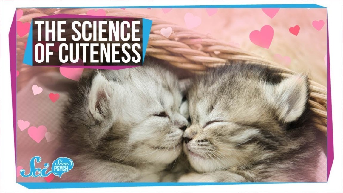 Science of Cuteness