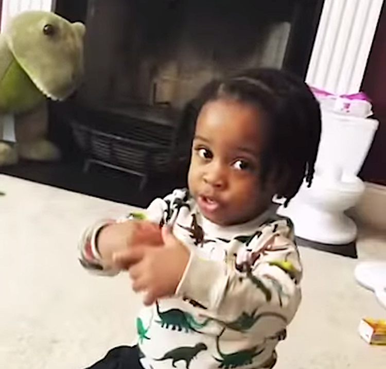 Three-Year-Old-Adorably-Explains-Dinosau