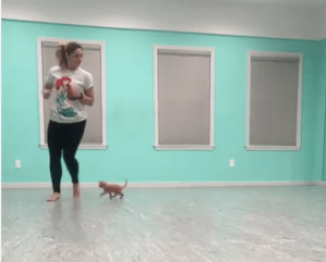 YoYo Blind Kitten Follows Human Around Studio