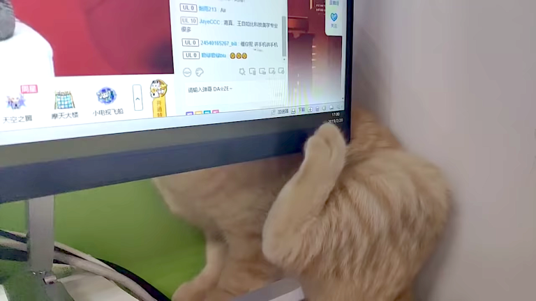 Computer Screen Blocks Cat Scratch