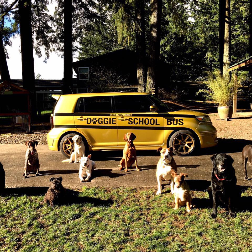 Doggie-School-Buss.jpg