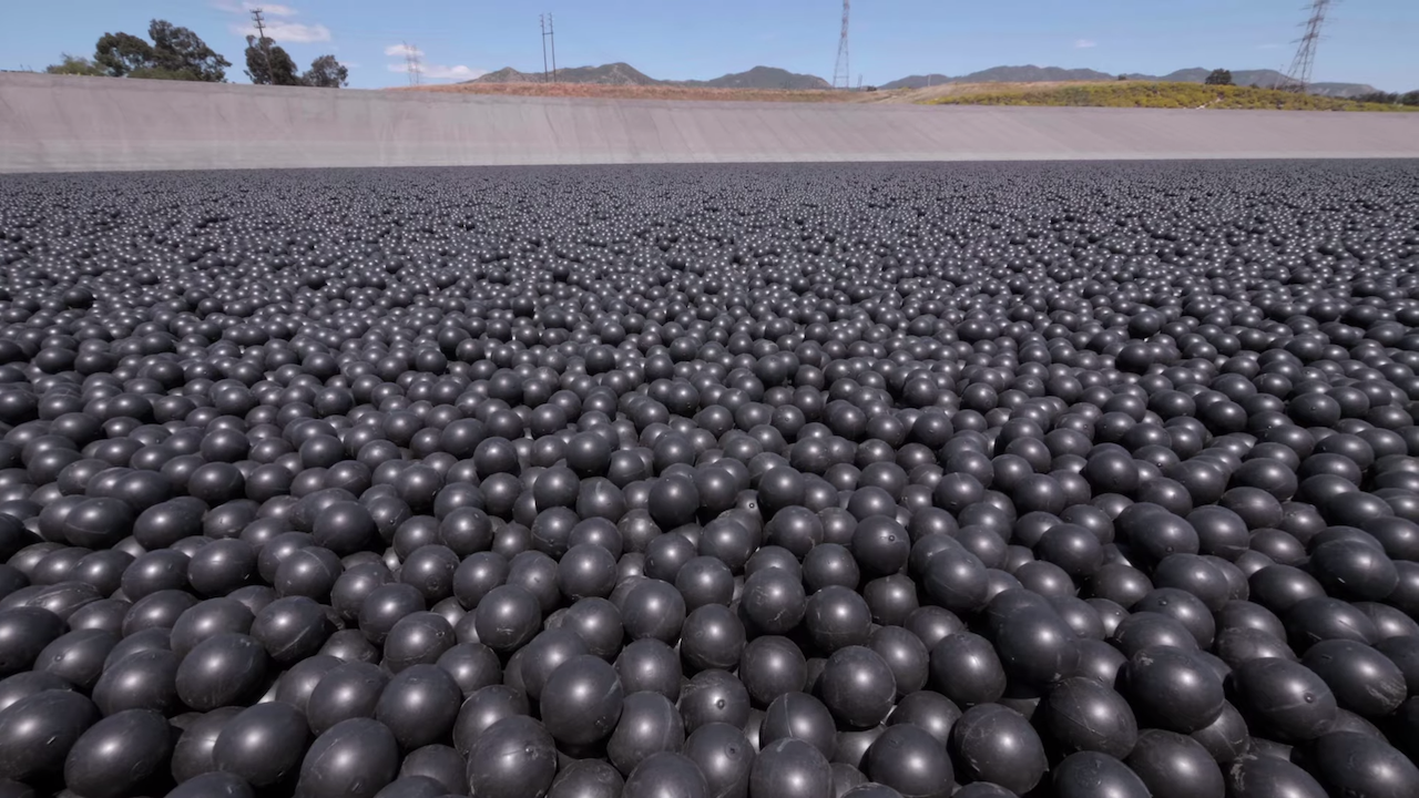 Why-Are-96000000-Black-Balls-on-This-Res