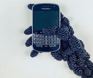 Blackberry Blackberry Ben Smith