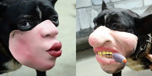 Human Face Dog Masks