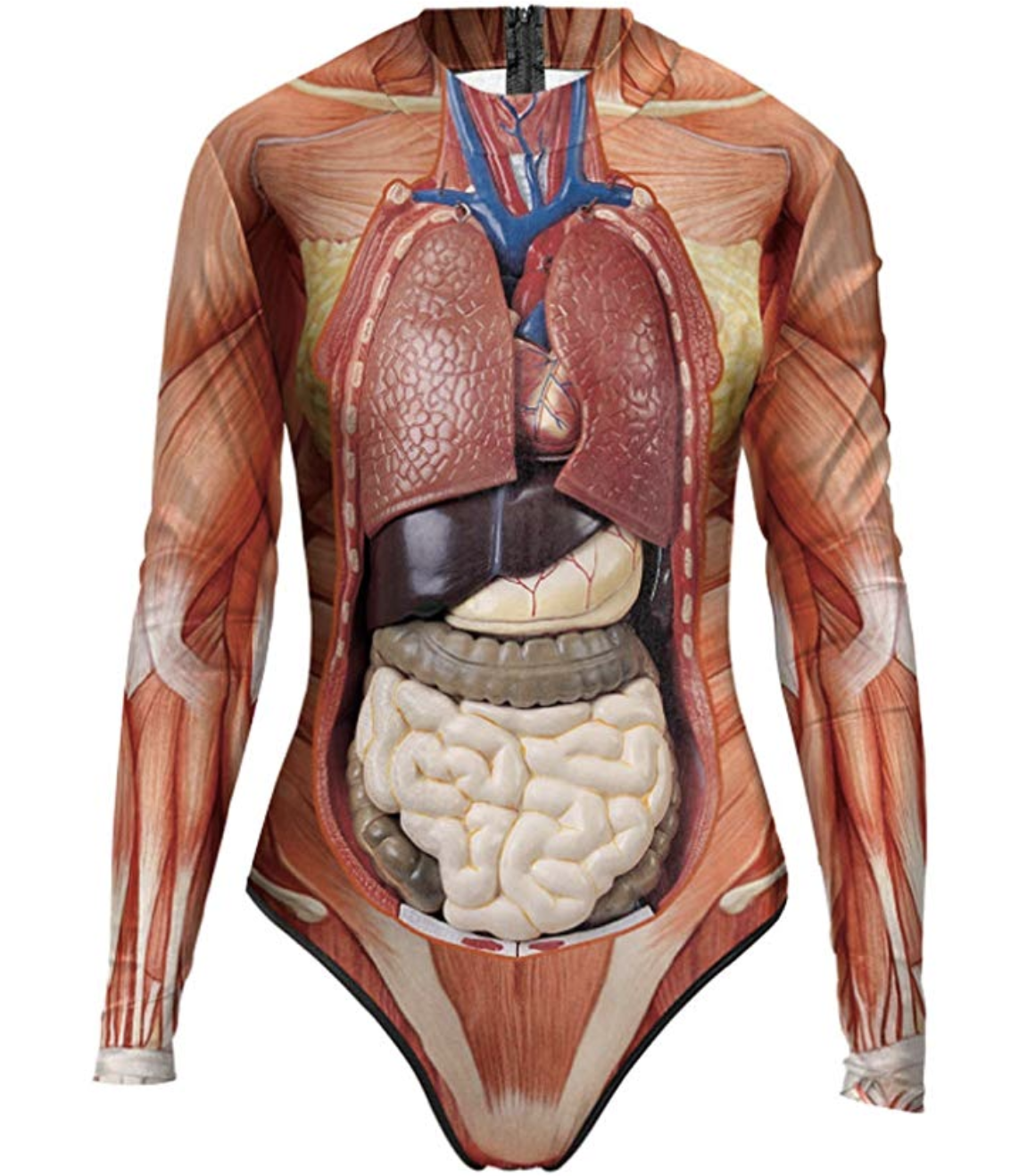 Internal Organs Swimsuit without model