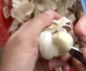 Peeling Garlic With a Small Knife