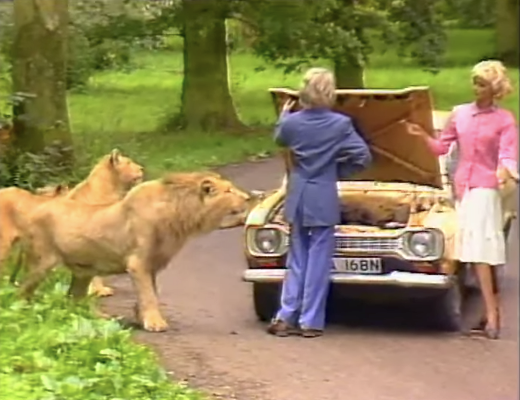 1987 Safari Park Safety Demo Uses Dummies to Show That Lions May Attack  People Who Leave Their Car