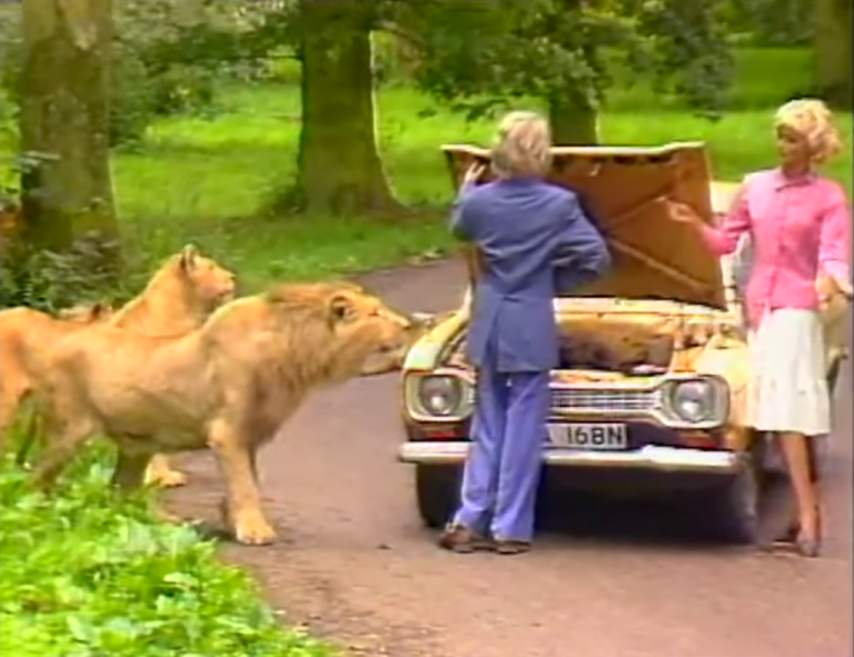 Longleat Safari Park Safety Demo