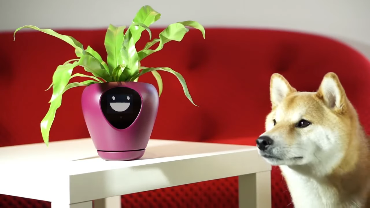 L a A Smart Planter That Expresses What a Plant Needs and 