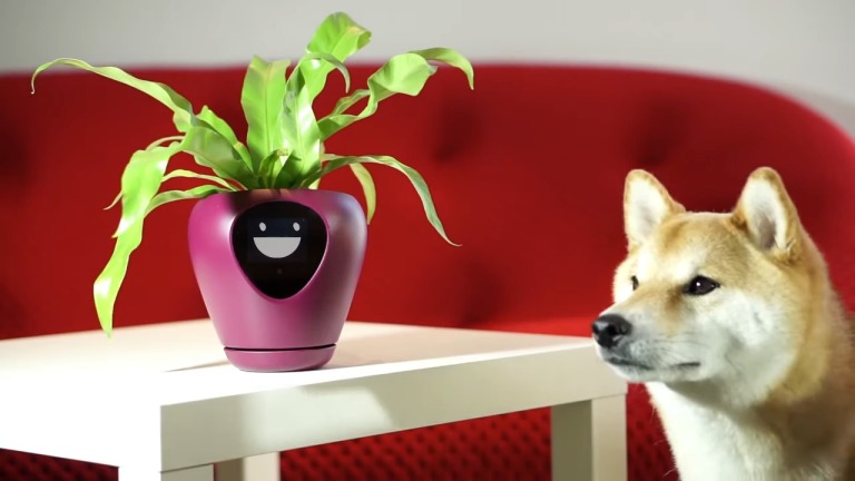 Lua Smart Planter