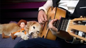 Youve Got a Friend in Me Acoustic Fingerstyle Dog Woody