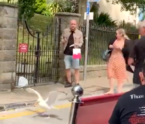 Cheeky Seagul Steals Sausage from Sandwich