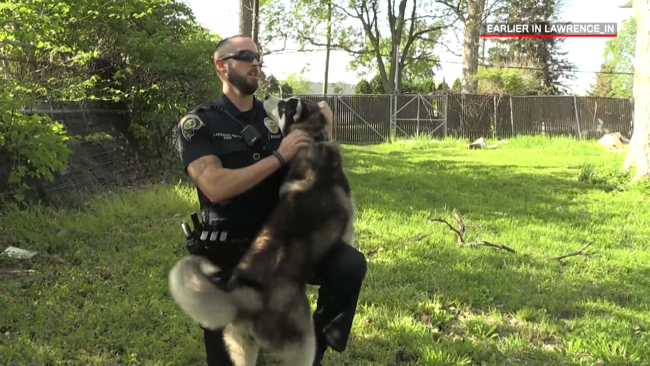 Cop-Rescues-Dog.png