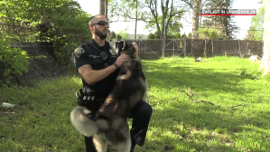 Cop Rescues Dog