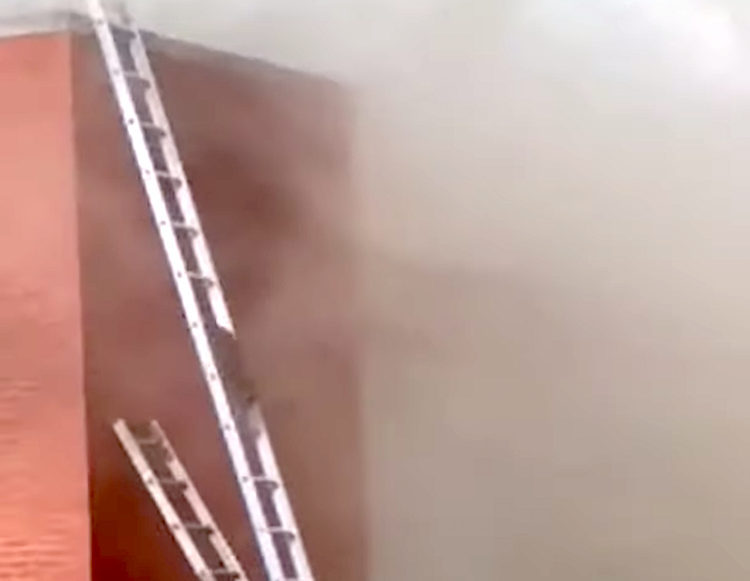 Firefighters set up a ladder for racoons to escape a fire