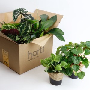 Horti Plant Subscription