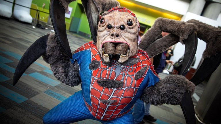 Literal Man Spider Cosplay