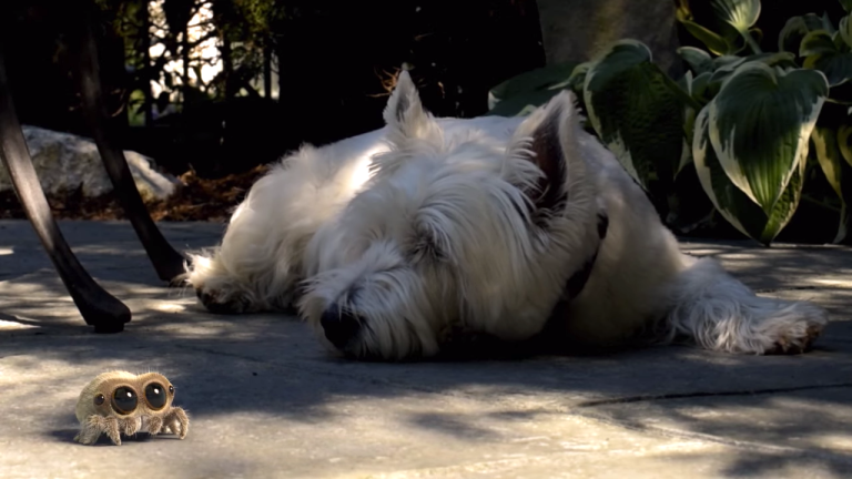 Lucas the Spider Turns to Dog for Shade