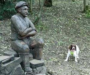 Dog Tries to Make Statue Play Fetch