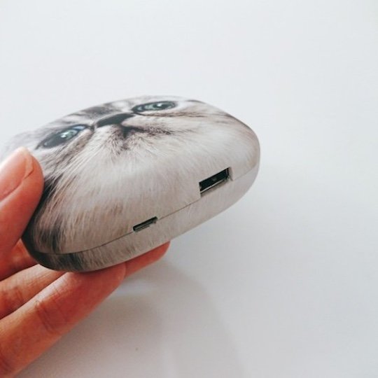 Cat Head Charger Side