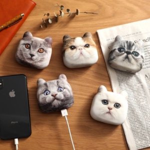 Cat Head Chargers