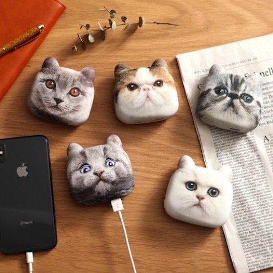 Cat Head Chargers