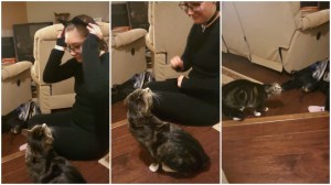 Cat Scared of Human Wearing Cat Ears
