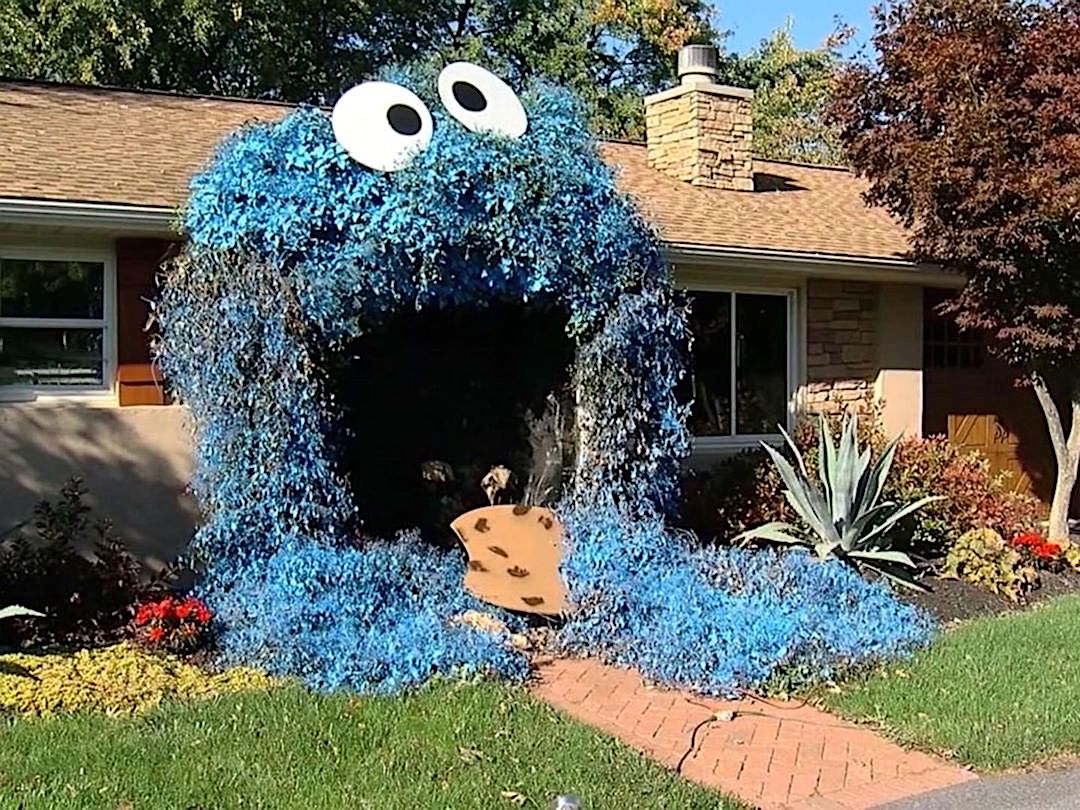 Cookie Monster House Entry