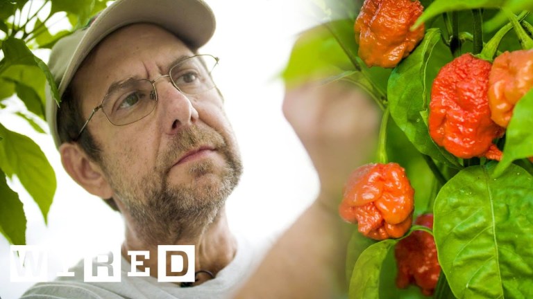 Man Behind the Carolina Reaper