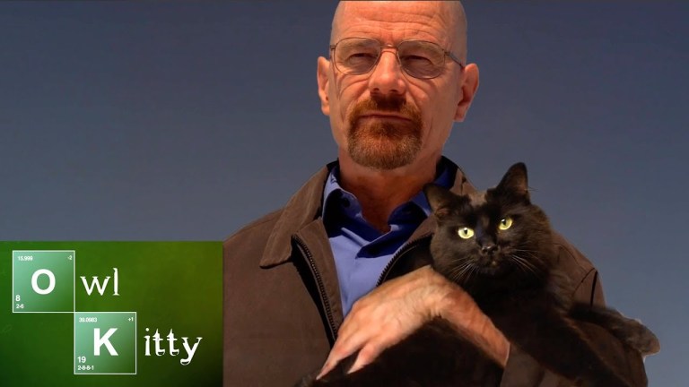 Owl Kitty Breaking Bad