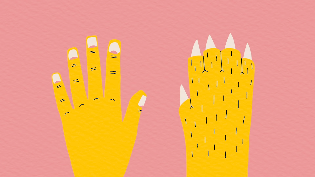 The Difference Between Claws and Nails