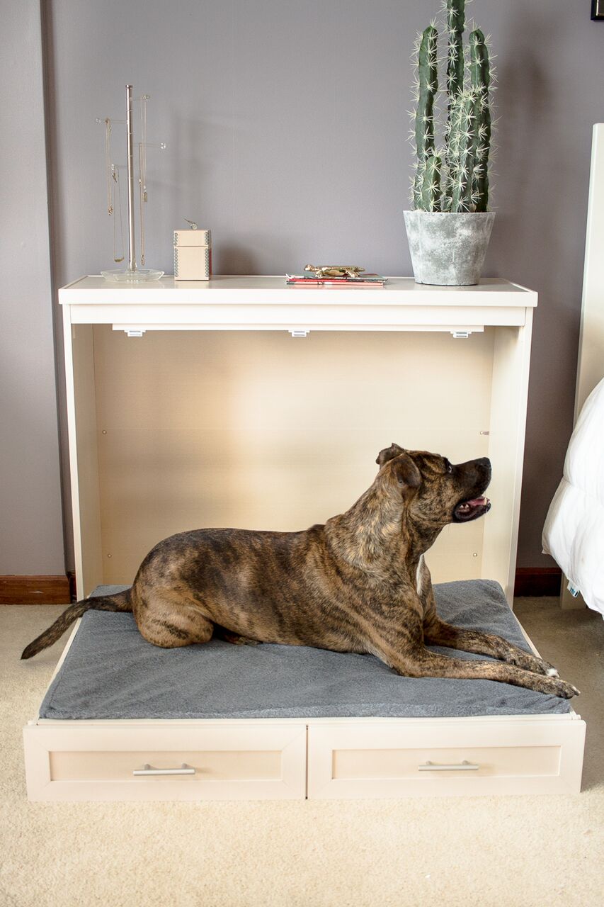 A Handy FoldOut Murphy Bed For Dogs