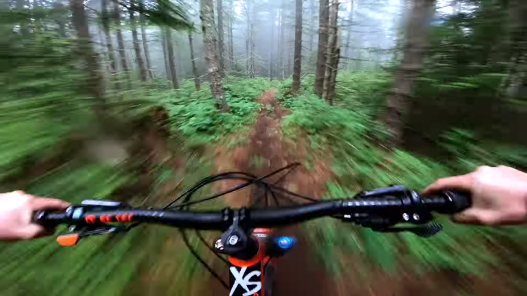 Foggy Forest GoPro Mark Matthews Fog Vancouver Island