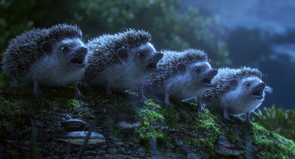 Hedgehog Chorus
