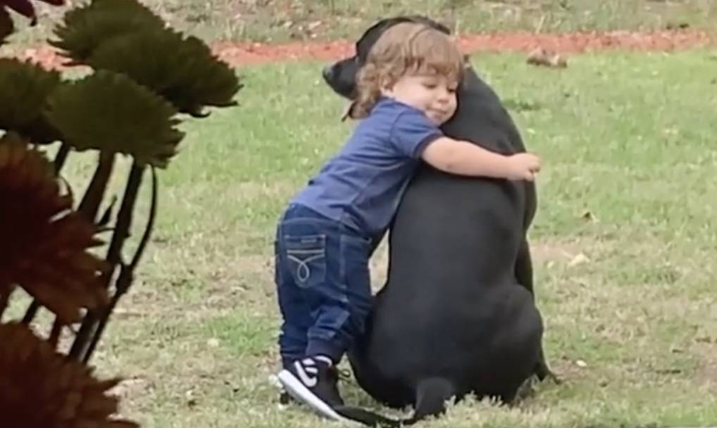Little Boy Hugs Dog