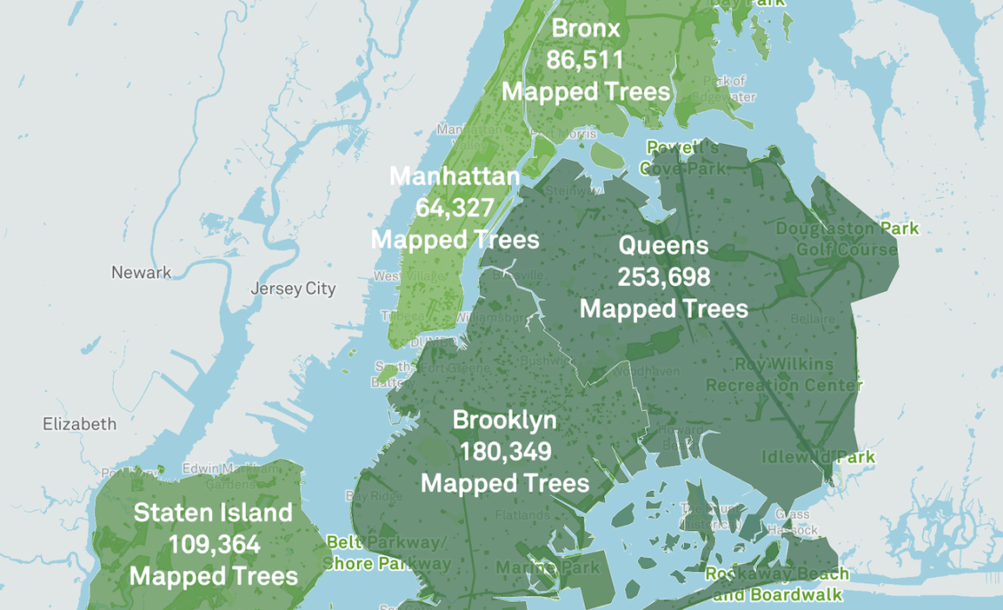 New York City Street Tree Map