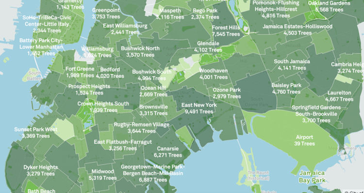 Tree Map Brooklyn Queens