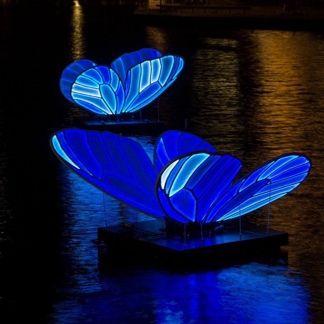 Butterflies Amsterdam Light Show 2019