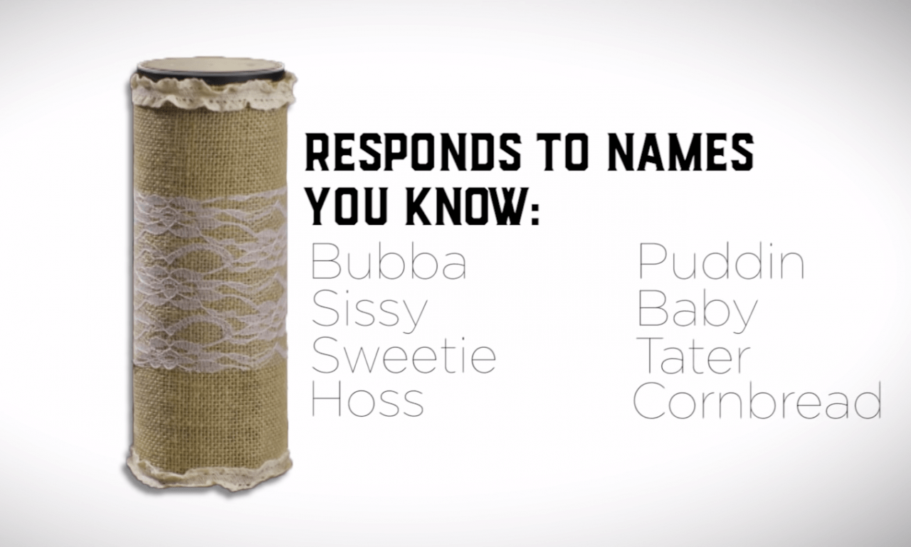 An Amazon Echo That Can Understand and Respond to an Eastern Kentucky