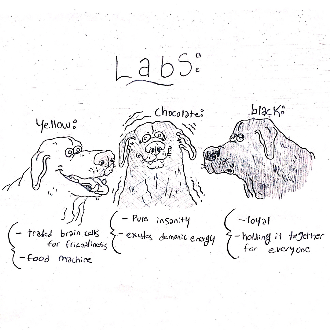 Little Tunny Labs