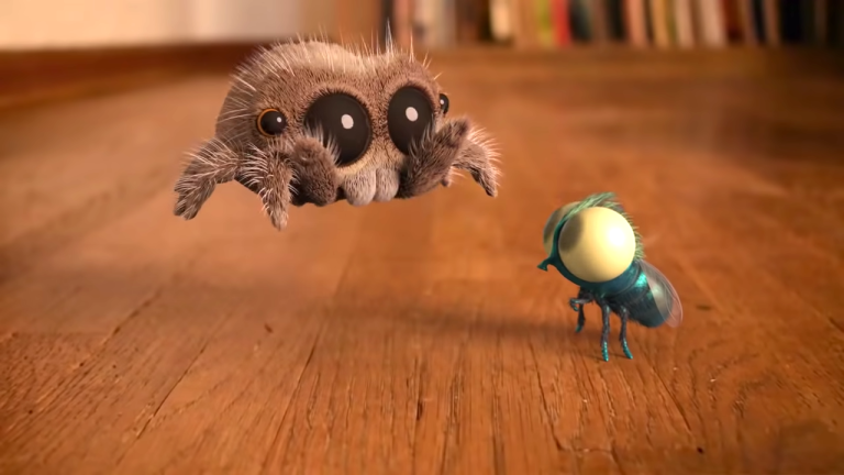 Lucas the Jumping Spider