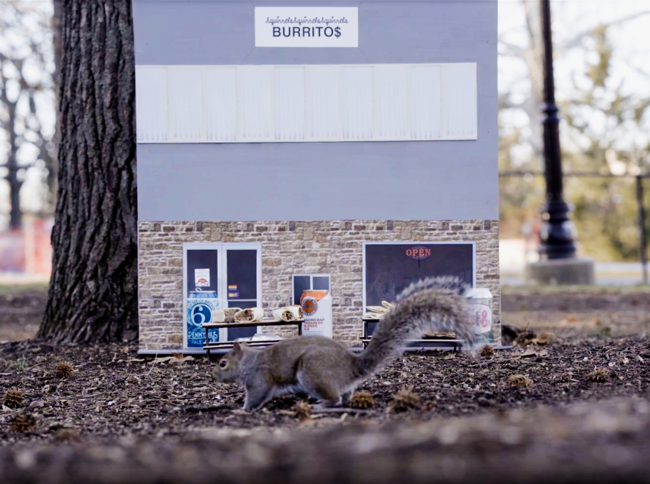 Squirrel-Burrito-Restaurant.jpg